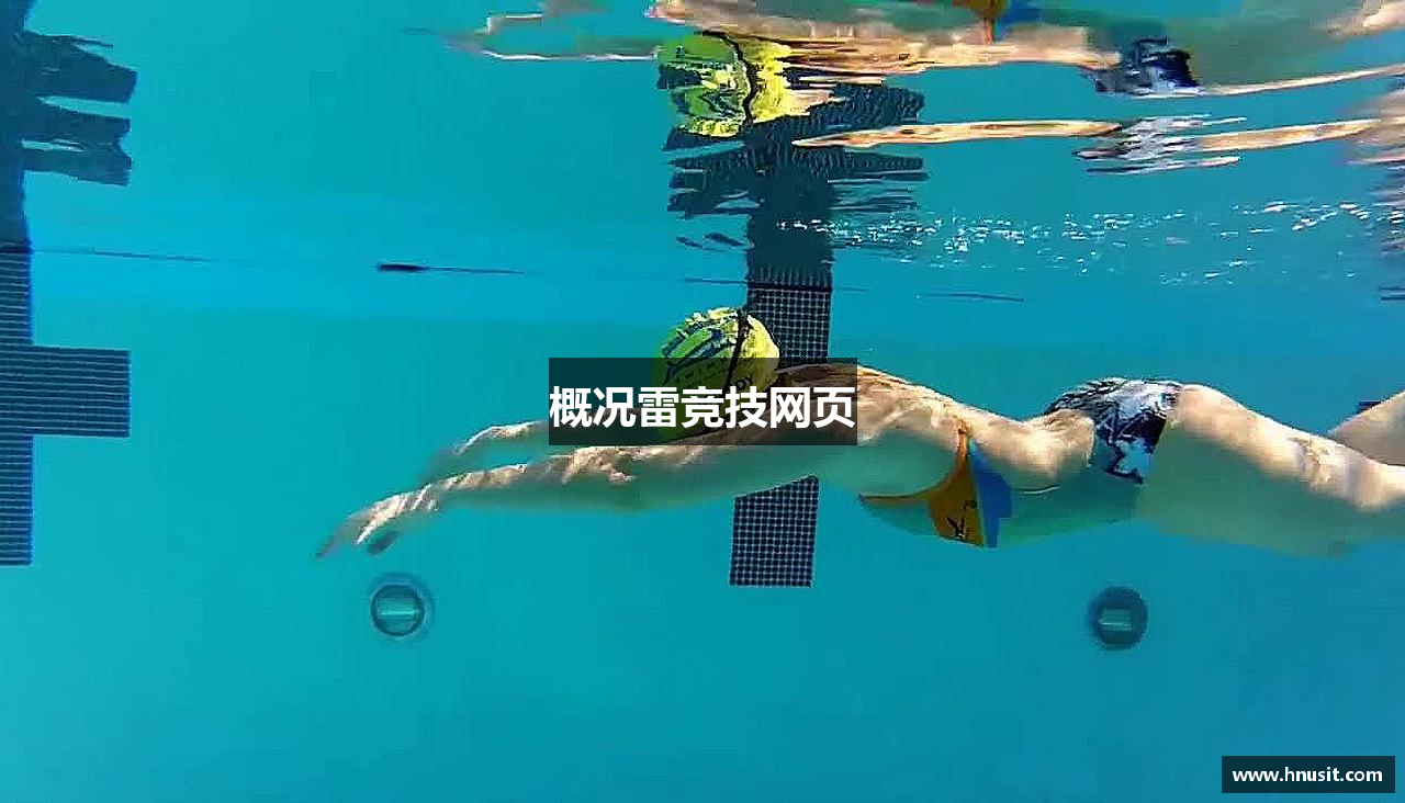 概况雷竞技网页